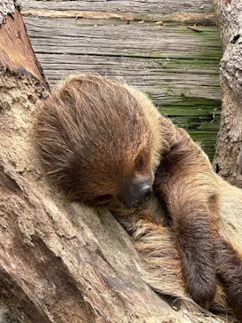 神戸どうぶつ王国に投稿された画像（2022/7/3）