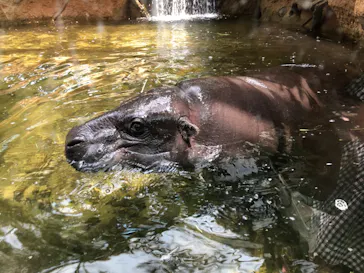 神戸どうぶつ王国に投稿された画像（2022/7/3）