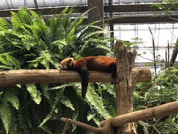 神戸どうぶつ王国に投稿された画像（2022/7/3）