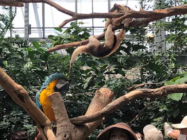 神戸どうぶつ王国に投稿された画像（2022/7/3）