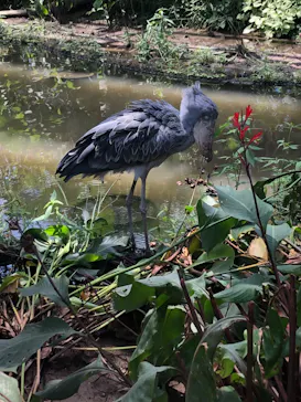 神戸どうぶつ王国に投稿された画像（2022/7/3）