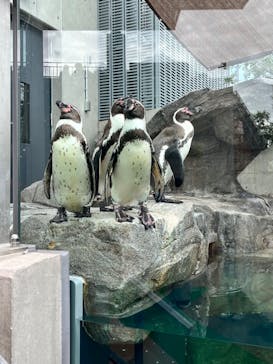 felissimo chocolate museum（フェリシモチョコレートミュージアム）に投稿された画像（2022/7/3）