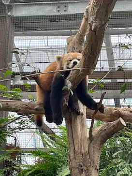 神戸どうぶつ王国に投稿された画像（2022/7/3）