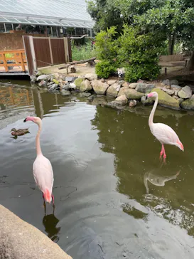 神戸どうぶつ王国に投稿された画像（2022/7/3）