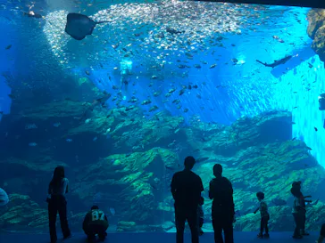 仙台うみの杜水族館に投稿された画像（2022/7/3）
