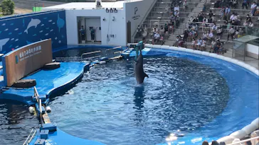 仙台うみの杜水族館に投稿された画像（2022/7/3）