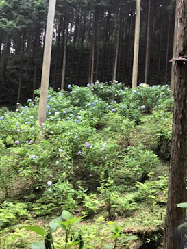 わんダフルネイチャーヴィレッジに投稿された画像（2022/7/3）