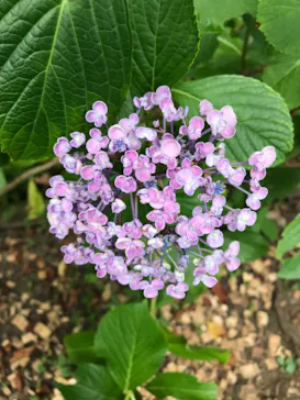 わんダフルネイチャーヴィレッジに投稿された画像（2022/7/3）