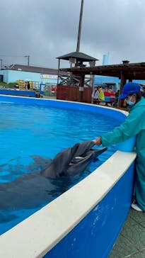 南知多ビーチランド＆南知多おもちゃ王国に投稿された画像（2022/7/3）