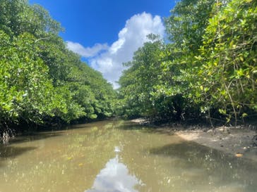 西表島 ADVENTURE PiPi（アドベンチャーピピ）に投稿された画像（2022/7/3）