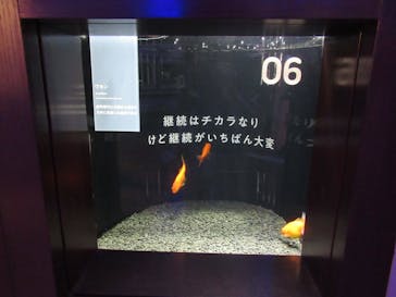 横浜開運水族館 フォーチュンアクアリウムに投稿された画像（2022/7/3）