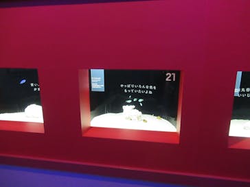 横浜開運水族館 フォーチュンアクアリウムに投稿された画像（2022/7/3）