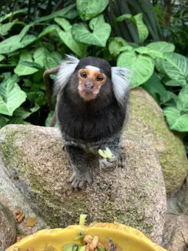 神戸どうぶつ王国に投稿された画像（2022/7/3）