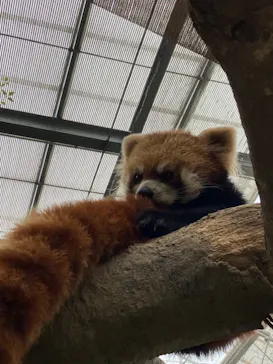 神戸どうぶつ王国に投稿された画像（2022/7/3）