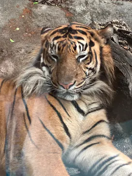 神戸どうぶつ王国に投稿された画像（2022/7/3）