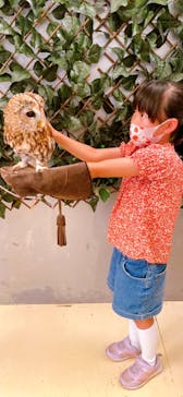 Moff animal cafe イオンモール幕張新都心店に投稿された画像（2022/7/3）