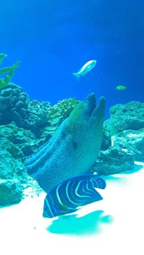 新江ノ島水族館に投稿された画像（2022/7/3）