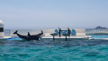 鴨川シーワールドに投稿された画像（2022/7/3）