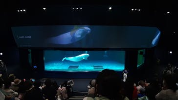 鴨川シーワールドに投稿された画像（2022/7/3）