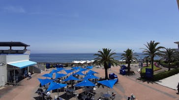 鴨川シーワールドに投稿された画像（2022/7/3）