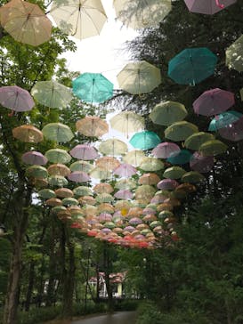 ムーミンバレーパークに投稿された画像（2022/7/3）