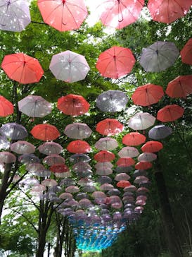 ムーミンバレーパークに投稿された画像（2022/7/3）