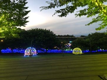 伊豆ぐらんぱる公園に投稿された画像（2022/7/3）