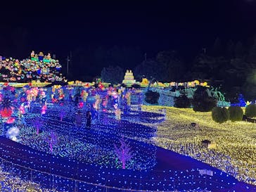 伊豆ぐらんぱる公園に投稿された画像（2022/7/3）