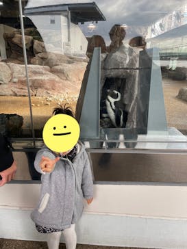 京都鉄道博物館×京都水族館に投稿された画像（2022/7/3）