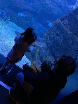 京都鉄道博物館×京都水族館に投稿された画像（2022/7/3）