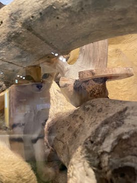 ネオパークオキナワに投稿された画像（2022/7/3）