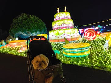 伊豆ぐらんぱる公園に投稿された画像（2022/7/3）
