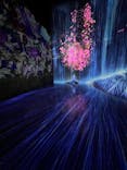 森ビル デジタルアート ミュージアム：エプソン チームラボボーダレスに投稿された画像（2022/7/4）