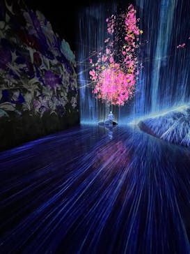 森ビル デジタルアート ミュージアム：エプソン チームラボボーダレスに投稿された画像（2022/7/3）