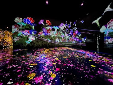 森ビル デジタルアート ミュージアム：エプソン チームラボボーダレスに投稿された画像（2022/7/3）