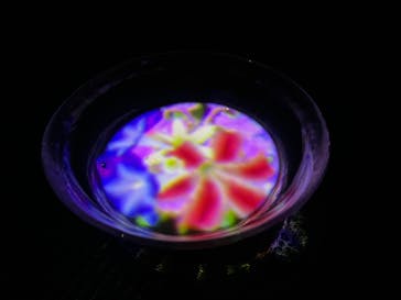 森ビル デジタルアート ミュージアム：エプソン チームラボボーダレスに投稿された画像（2022/7/3）