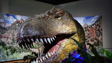 ネオパークオキナワに投稿された画像（2022/7/3）