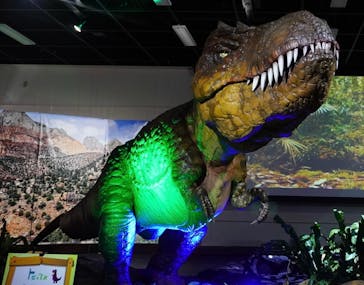 ネオパークオキナワに投稿された画像（2022/7/3）