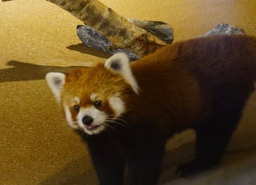 ネオパークオキナワに投稿された画像（2022/7/3）