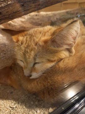 ネオパークオキナワに投稿された画像（2022/7/3）