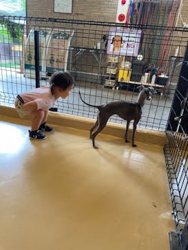 世界の名犬牧場に投稿された画像（2022/7/3）