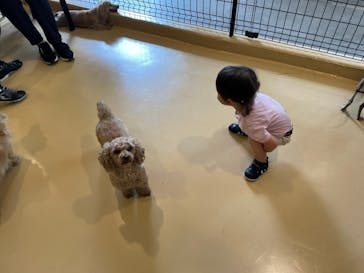 世界の名犬牧場に投稿された画像（2022/7/3）