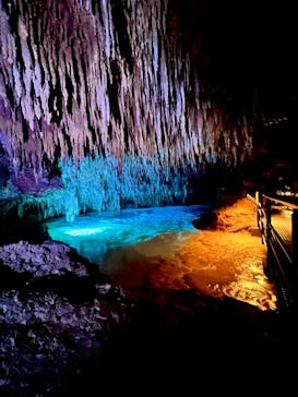 おきなわワールドに投稿された画像（2022/7/4）