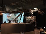 国立科学博物館に投稿された画像（2022/7/4）