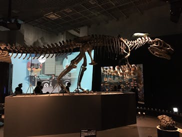 国立科学博物館に投稿された画像（2022/7/4）