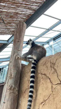 神戸どうぶつ王国に投稿された画像（2022/7/4）