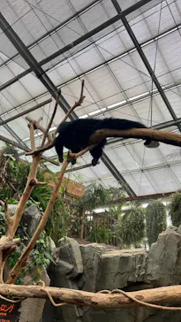 神戸どうぶつ王国に投稿された画像（2022/7/4）