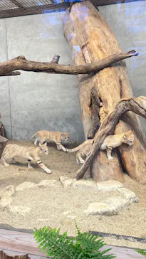 神戸どうぶつ王国に投稿された画像（2022/7/4）