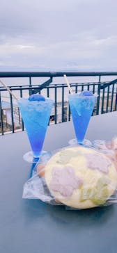 新江ノ島水族館に投稿された画像（2022/7/4）