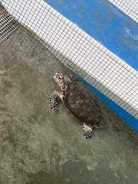 名古屋港水族館に投稿された画像（2022/7/4）